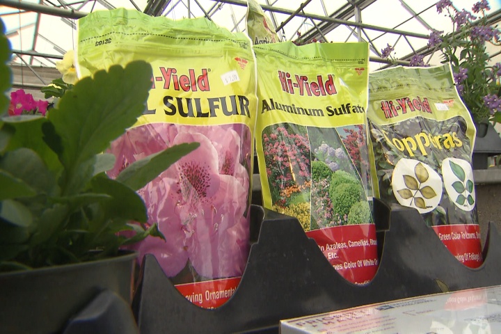Match proper soil type to plant